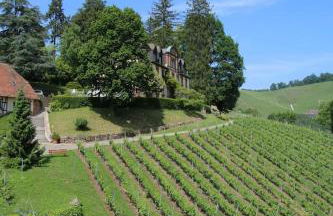 Wein Lodge Durbach - Schlossblick - Foto 30