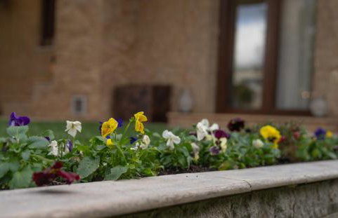 Garden's House Pozar in Aridaia - Photo 60