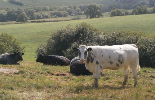 The Brick Barn, Drewsteignton - Foto 8