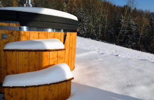 Leśna Muzyka Apartment Limanowa - Photo 34