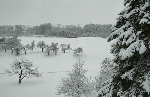 Ferienwohnung Alber - Foto 12