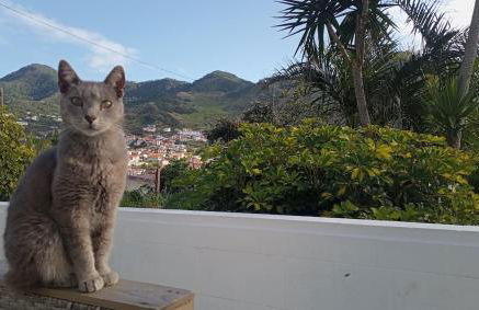 Kanela Guest House B-side - Foto 30