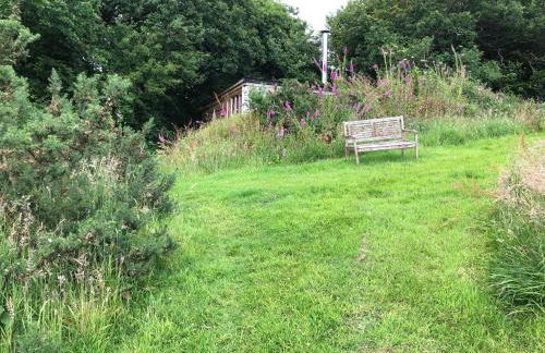 FoxesDen, Unique Eco Cabin, Dartmoor views - Foto 24