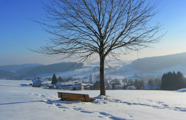 Pleasing Apartment in Herrischried near Forest - Foto 24