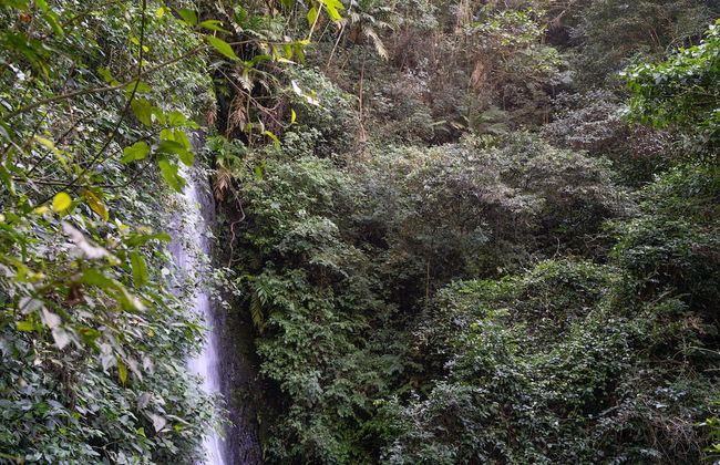 Casa de campo Los Yungas - Photo 39