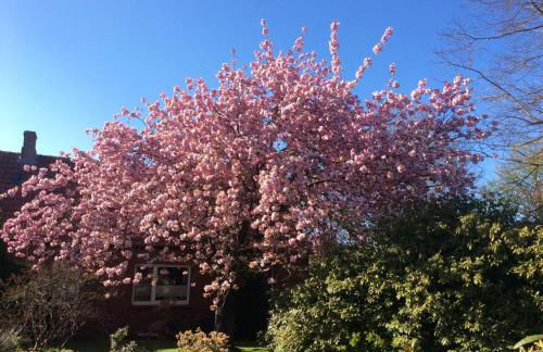 Haus-Magarethe - Foto 23