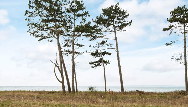 6 Person Holiday Home in Knebel - Foto 2, Miscelánea