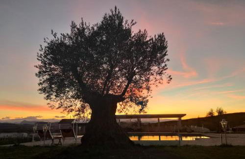 La Collina dei Cavalieri - Foto 18