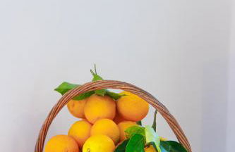 Iliana's house - spacious cave house in the center of Areopolis - Foto 36