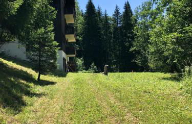 Chalet Rivière du Bon Nant Location de 6 à 14 personnes en Haute Savoie - Foto 8