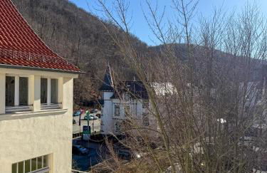 Casa Kronberg - Foto 36