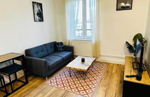 A2D Bel appartement, Nancy Thermal - Photo 16