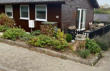 Cosy north Devon lodge within Hartland forest - Foto 1