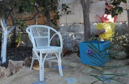 Zagara di Sicilia - Foto 114