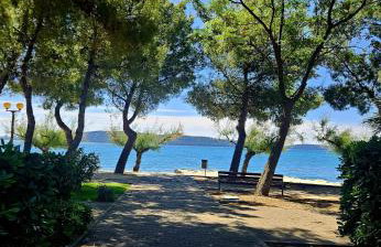 Perla No1 - Photo 38