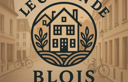 Le Cocon de Blois - Foto 47