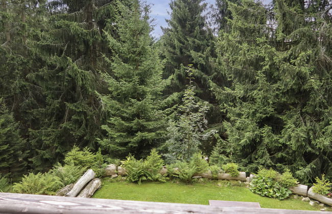 8 bedroom House in Harrachov with garden - Photo 25