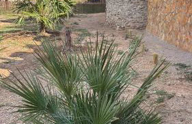 Turismo Rural Santa Lucia - Foto 9