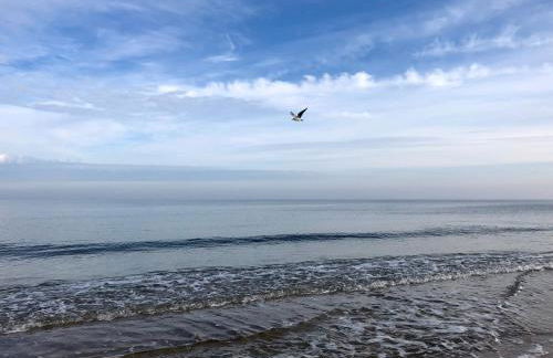 Upstalsboom Residenzen Trassenheide - Foto 36