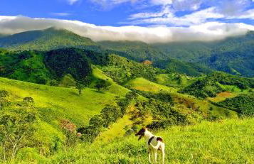 Pousada Sitio Gan Eden - Foto 60