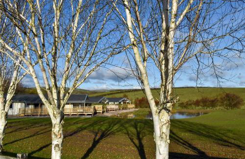 Pine Lodge - Uk30007 - Foto 29