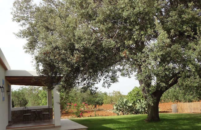 Agroturismo Sa Vinya d'en Palerm - Foto 36