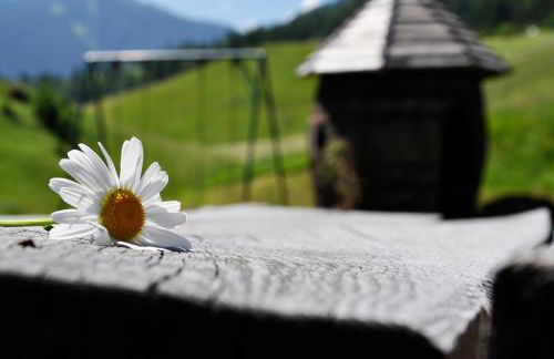 Guesthouse Rungg - Foto 49