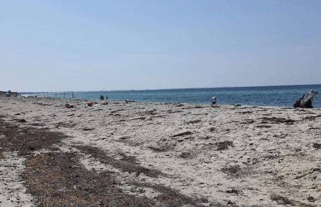 4 Person Holiday Home in Store Fuglede-by Traum - Foto 52