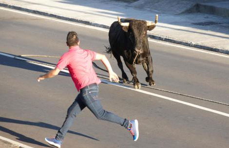 Casa Terra Mar - Photo 37