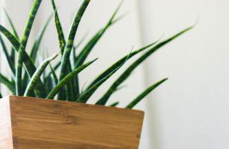 KELLER APARTMENT l 12F - Photo 9