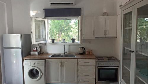 Cactus Home - Foto 4