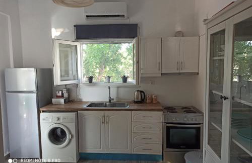 Cactus Home - Foto 4