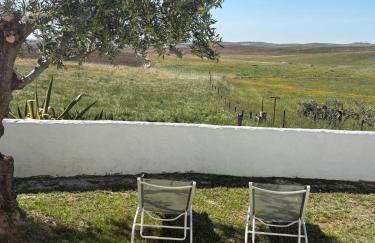 Canto da Planície - Photo 59