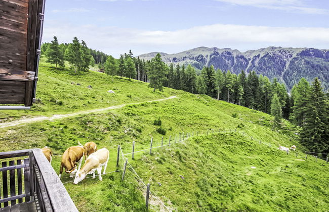 2 bedroom House in Greifenburg with garden - Photo 12