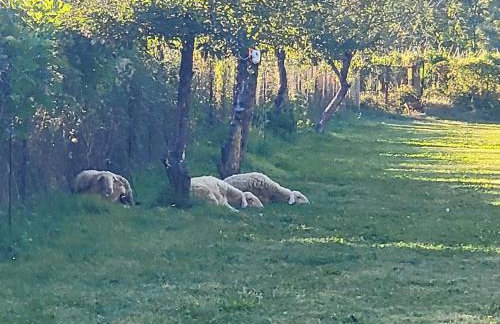 River side house - Foto 17