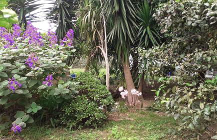 Quinta das rãs - Photo 4