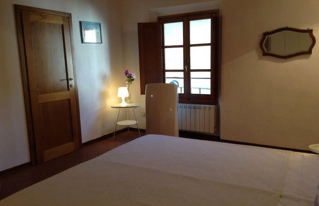 Vellutini Number One - Foto 14