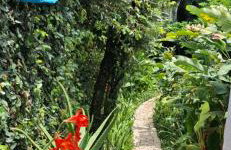 Apartamento dos coqueiros Búzios - Foto 14