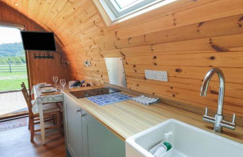 Bwthyn Bach Brefi - Photo 10