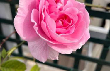 Rooftop Triplex with Garden at Notre Dame - Foto 24