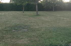 Maison Normande - Le Mesnil en Ouche - Foto 21