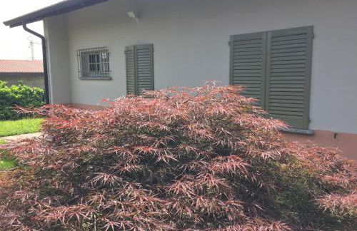 CAROLINE home - Foto 15