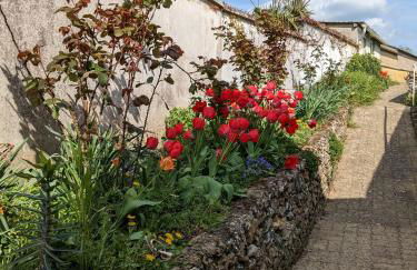 Au chalet d'Illiers Combray, grand jardin arboré - Foto 23