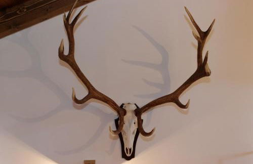 Ferienhaus Hirschkopf - Foto 33