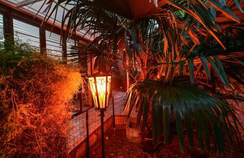 Bohemian Rhapsody - Foto 37