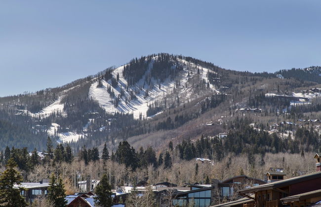 White Pines 1-BD Penthouse at Westgate - Tycoon - Photo 26