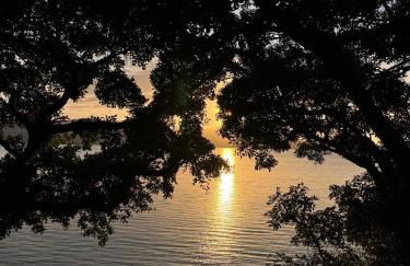 MORADA DOS PÁSSAROS sc - Foto 19