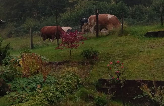 Familiehuis Dolve - Photo 22