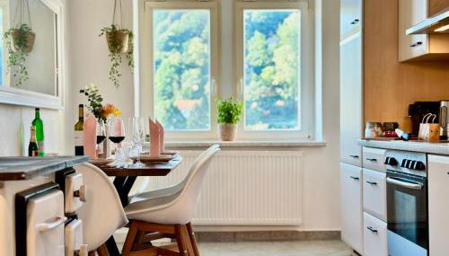 Belvedere Apartment - Riverside - Zentrum - Netflix - Liliensteinblick - Foto 4, stove, minibar