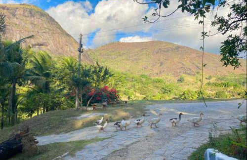 Apt Flat 210 Condomínio Pedra do Rodeadouro - Foto 32